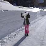 Jeff's - With A Mountain View 3* Bad Goisern