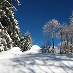 Jeff's - With A Mountain View Bad Goisern