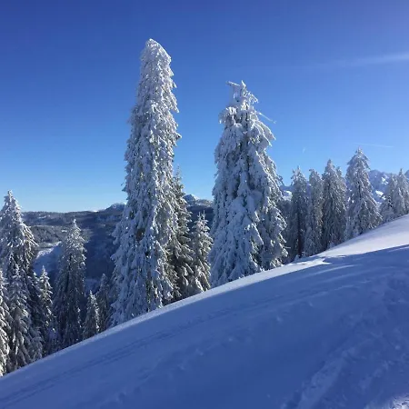 Jeff's - With A Mountain View Bed & Breakfast 3*