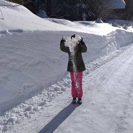 Jeff's - With A Mountain View 3* 巴德哥依斯恩