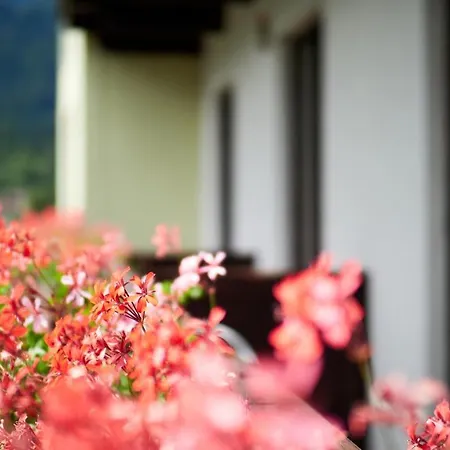 Jeff's - With A Mountain View 住宿加早餐酒店