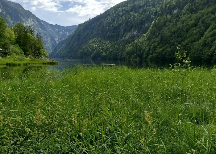 Jeff's - With A Mountain View Oda ve Kahvaltı