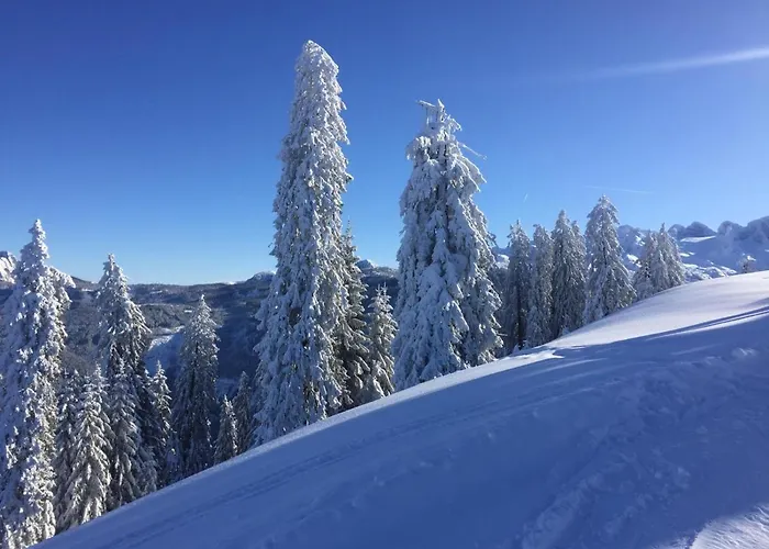 Jeff's - With A Mountain View Bed & Breakfast 3*