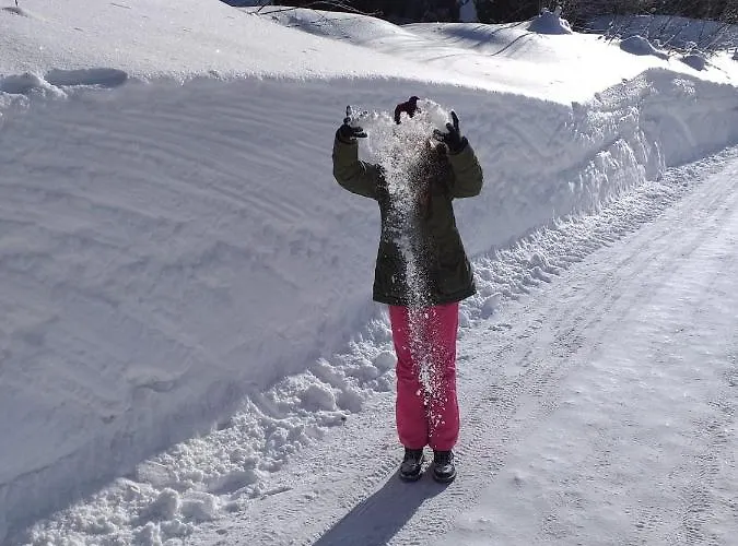 Jeff's - With A Mountain View 3* Bad Goisern