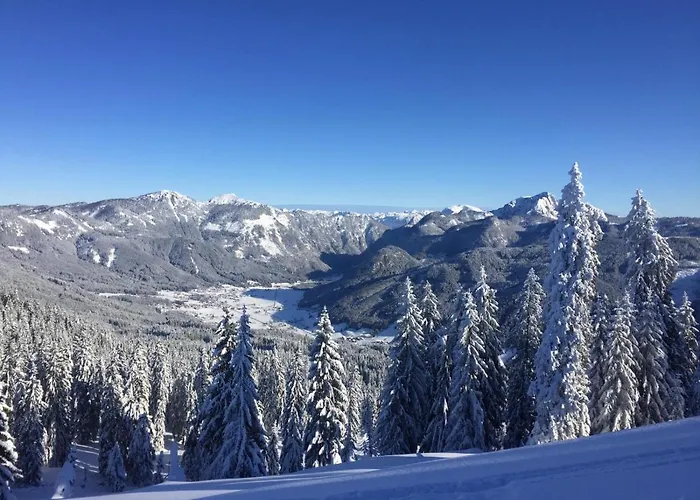 Bed & Breakfast Jeff's - With A Mountain View