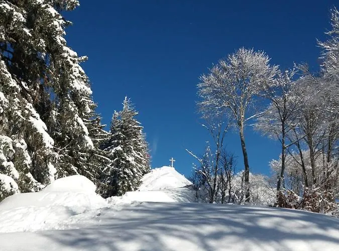 Jeff's - With A Mountain View Bad Goisern