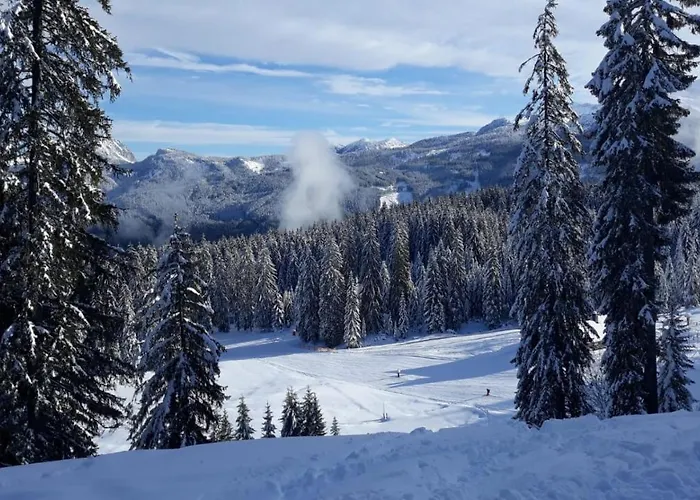 Jeff's - With A Mountain View