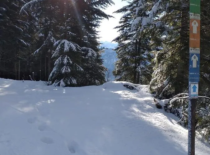 Jeff's - With A Mountain View Bed & Breakfast 3*