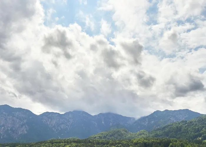 Jeff's - With A Mountain View