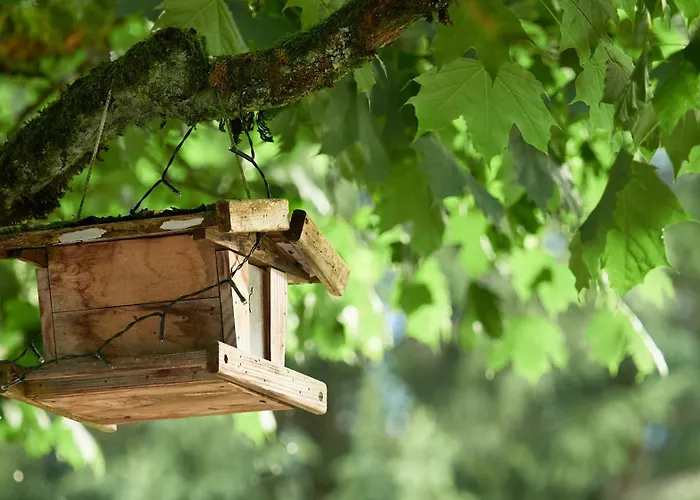 Jeff's - With A Mountain View 3* Bad Goisern