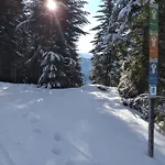 Jeff's - With A Mountain View Bed and Breakfast 3*