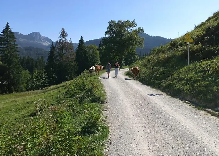 Alojamento de Acomodação e Pequeno-almoço Jeff's - With A Mountain View Bad Goisern