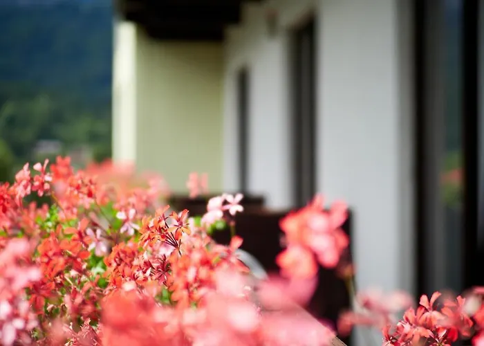 Jeff's - With A Mountain View Alojamento de Acomodação e Pequeno-almoço